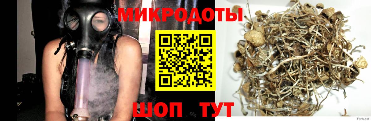 Таганрог  Галлюциногенные грибы Psilocybine cubensis  Вход с VPN 